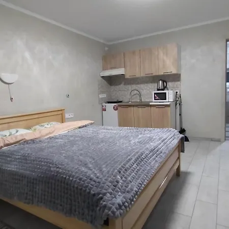 Guest house U Dida Viktora Yaremche