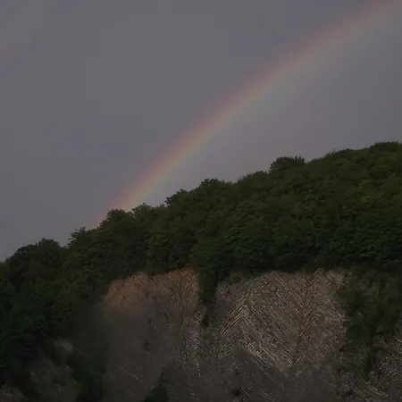 Guest house U Dida Viktora