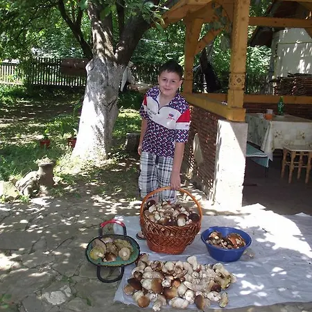 Πανσιόν U Dida Viktora 3*