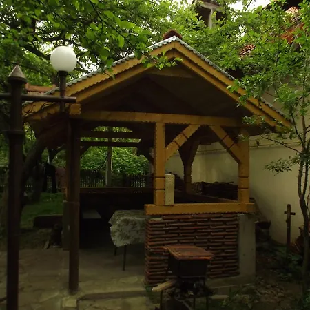 Guest house U Dida Viktora 3*