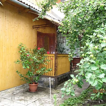 Guest house U Dida Viktora 3*