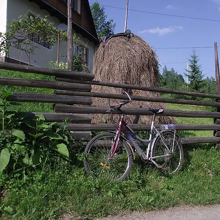 Guest house U Dida Viktora Yaremche