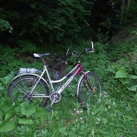 Πανσιόν U Dida Viktora 3*