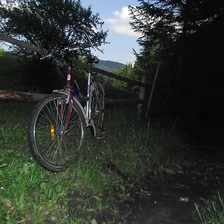 U Dida Viktora Yaremche