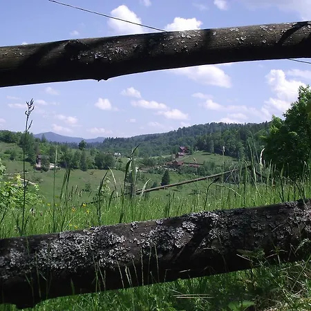 Guest house U Dida Viktora 3*