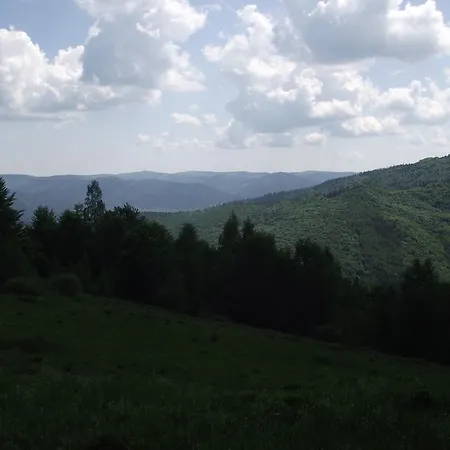 Guest house U Dida Viktora 3*