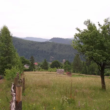 Guest house U Dida Viktora 3*