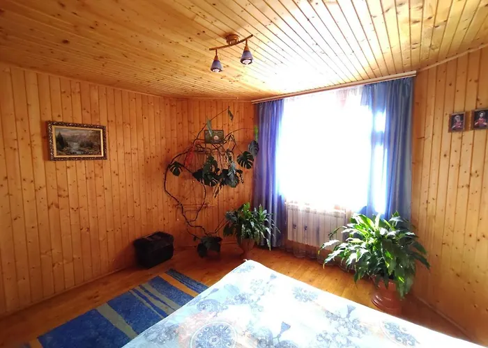 Гостевой дом U Dida Viktora 3*