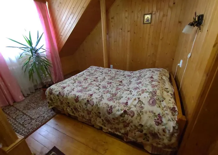 Гостевой дом U Dida Viktora 3*