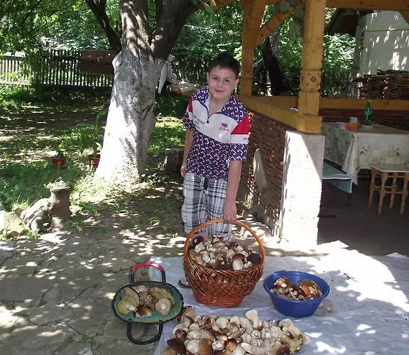 Гостевой дом U Dida Viktora 3*