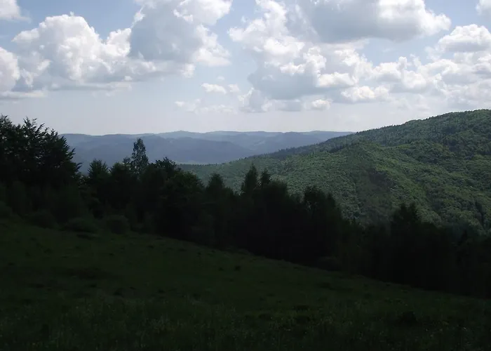 Гостевой дом U Dida Viktora 3*