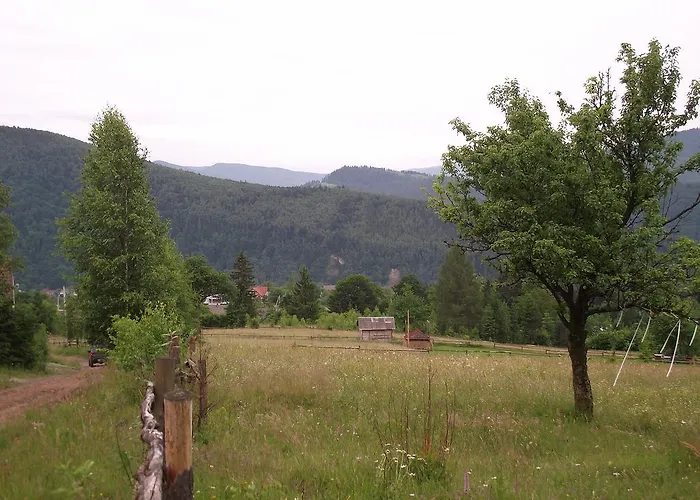 Гостевой дом U Dida Viktora 3*