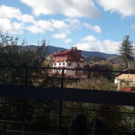 بيت ضيافة U Dida Viktora 3*